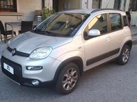 Usata Fiat Panda 4x4 S 95 CV (69 kW) 2016 Argento Utilitaria