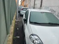 Usata Fiat Punto Evo 75 CV (55 kW) 2010 Bianco Utilitaria