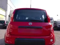 Usata Fiat Panda 4x4 85 CV (62 kW) 2019 Rosso Utilitaria