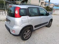 Usata Fiat Panda 4x4 S 85 CV (62 kW) 2013 Grigio Utilitaria