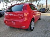 usata Fiat Punto 1.2 8V 5 porte Lounge CLIMA,CERCHI LE