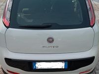 Usata Fiat Punto Evo 2011 Bianco Utilitaria