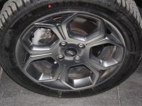 Usata Ford Ecosport ST-Line 125 CV (91 kW) 2022 Grigio SUV