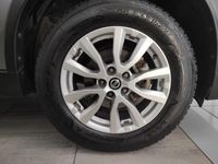usata Nissan X-Trail 3nd serie 1.6 dCi 2WD Business