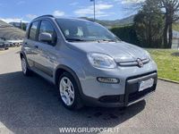 Usata Fiat Panda Red 69 CV (50 kW) 2022 Grigio Utilitaria