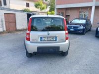 Usata Fiat Panda 4x4 Climbing 69 CV (50 kW) 2006 Argento Utilitaria