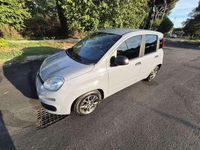 Usata Fiat Panda Red 69 CV (50 kW) 2022 Utilitaria