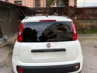 Usata Fiat Panda 2013 Bianco Berlina