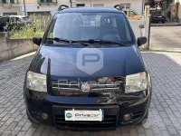 Usata Fiat Panda 4x4 Climbing 69 CV (50 kW) 2008 Nero Utilitaria