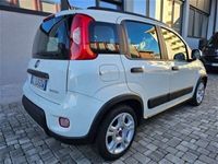 usata Fiat Panda Cross 1.0 FireFly S&S Hybrid City usato