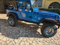Usata Jeep Wrangler 184 CV (135 kW) 1994 Blu SUV