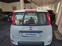 Usata Fiat Panda S 69 CV (50 kW) 2025 Bianco Utilitaria