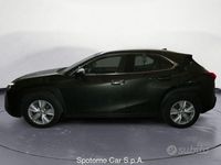 usata Lexus UX Hybrid Business