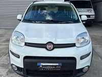 Usata Fiat Panda 4x4 S 95 CV (69 kW) 2017 Bianco Utilitaria