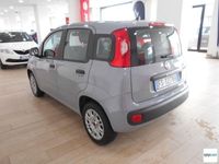 usata Fiat Panda 1.2 Easy