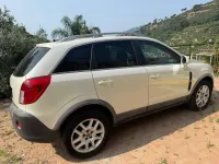 Usata Opel Antara Cosmo 163 CV (119 kW) 2013 Bianco SUV