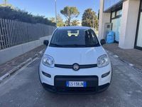 Usata Fiat Panda Cross Cross 69 CV (50 kW) 2023 Bianco Utilitaria
