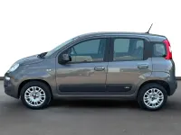 Usata Fiat Panda Easy 69 CV (50 kW) 2021 Grigio Utilitaria