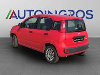 Usata Fiat Panda Connect 69 CV (50 kW) 2021 Rosso Utilitaria