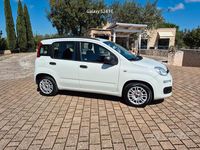 Usata Fiat Panda Easy 69 CV (50 kW) 2019 Bianco Utilitaria