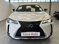 usata Lexus UX UX 250hHybrid 4WD *UNICO PROPRIETARIO*