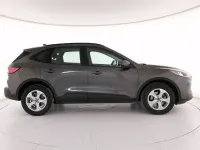 Usata Ford Kuga Business Edition 120 CV (88 kW) 2022 Grigio SUV