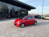 Usata Fiat 500 Dolcevita 69 CV (50 kW) 2024 Rosso Utilitaria