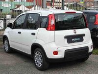 Nuova Fiat Panda S 69 CV (50 kW) 2025 Bianco Utilitaria