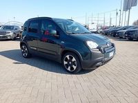 Usata Fiat Panda S 70 CV (51 kW) 2025 Verde Utilitaria