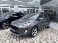 Usata Ford Fiesta Active 86 CV (63 kW) 2018 Grigio Berlina