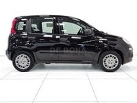 Nouvelle Fiat Panda Icon 70 ch (51 kW) 2026 Noir Citadine