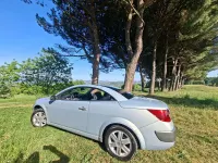 Usata Renault Mégane Cabriolet Dynamique 120 CV (88 kW) 2004 Grigio Cabrio