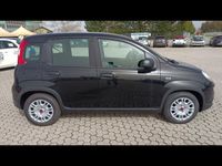 usata Fiat Panda 1.0 FireFly S&S Hybrid nuova a Massarosa