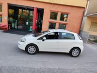 usata Fiat Punto Evo 1.3mjt Neopatentati - 2014
