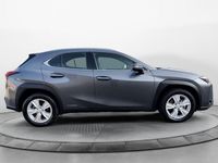 usata Lexus UX 250h Hybrid Business