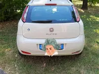 Usata Fiat Grande Punto S 69 CV (50 kW) 2012 Utilitaria