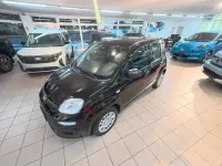 Usata Fiat Panda S 70 CV (51 kW) 2024 Bianco Utilitaria