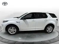 Usata Land Rover Discovery 5 SE 163 CV (119 kW) 2023 Bianco SUV