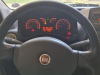 Usata Fiat Panda 4x4 Cross 2010 Utilitaria