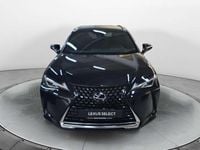 Usata Lexus UX 250h Executive Line 184 CV (135 kW) 2022 Nero SUV