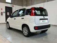 Usata Fiat Panda S 70 CV (51 kW) 2022 Bianco Utilitaria