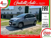 Usata Fiat Panda S 69 CV (50 kW) 2022 Grigio cemento Utilitaria