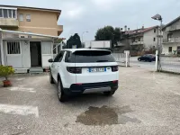 Usata Land Rover Discovery Sport Pure 150 CV (110 kW) 2020 Bianco SUV