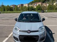 usata Fiat Panda 3ª serie - 2020