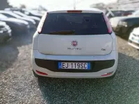 Usata Fiat Punto Evo Dynamic 75 CV (55 kW) 2011 Bianco Utilitaria