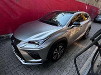 Usata Lexus NX300h Sport Line 155 CV (114 kW) 2018 Grigio SUV