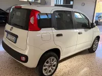 Usata Fiat Panda Easy 71 CV (52 kW) 2019 Bianco Utilitaria