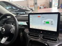 Usata Smart #1 Edition #1 200 kW (272 CV) 2023 Nero SUV