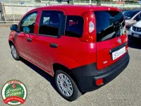Usata Fiat Panda 80 CV (58 kW) 2016 Rosso Utilitaria