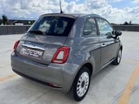 Usata Fiat 500 Lounge 69 CV (50 kW) 2021 Grigio Utilitaria